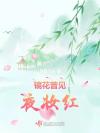 修真界不可能只有我好色